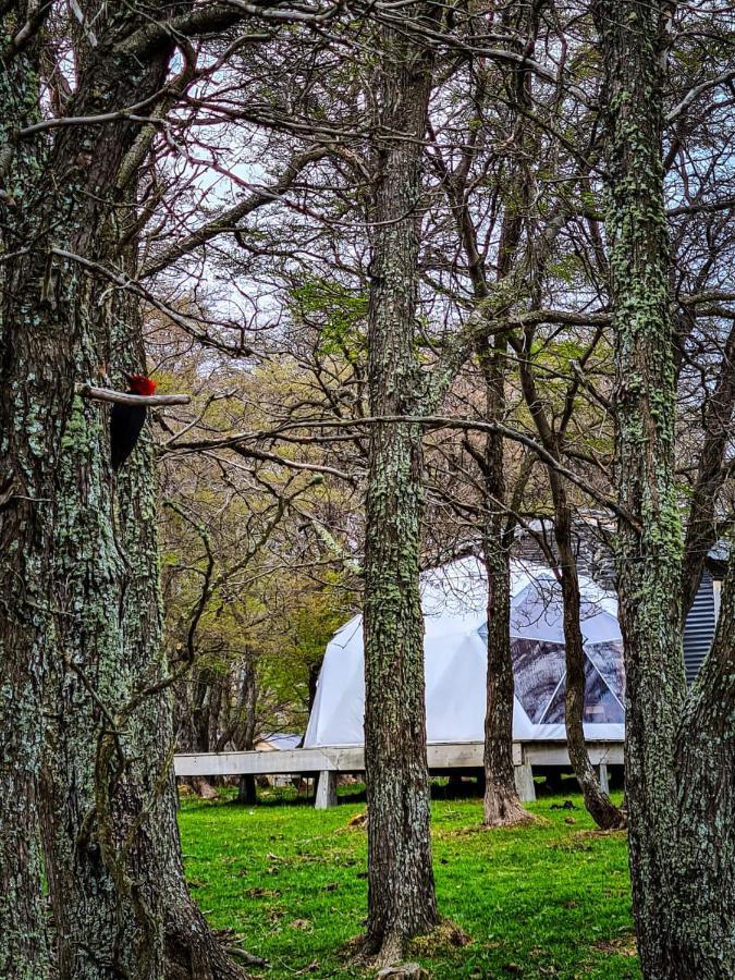 Glamping Patagonia Nativa Rural Hotel Coyhaique Exterior photo