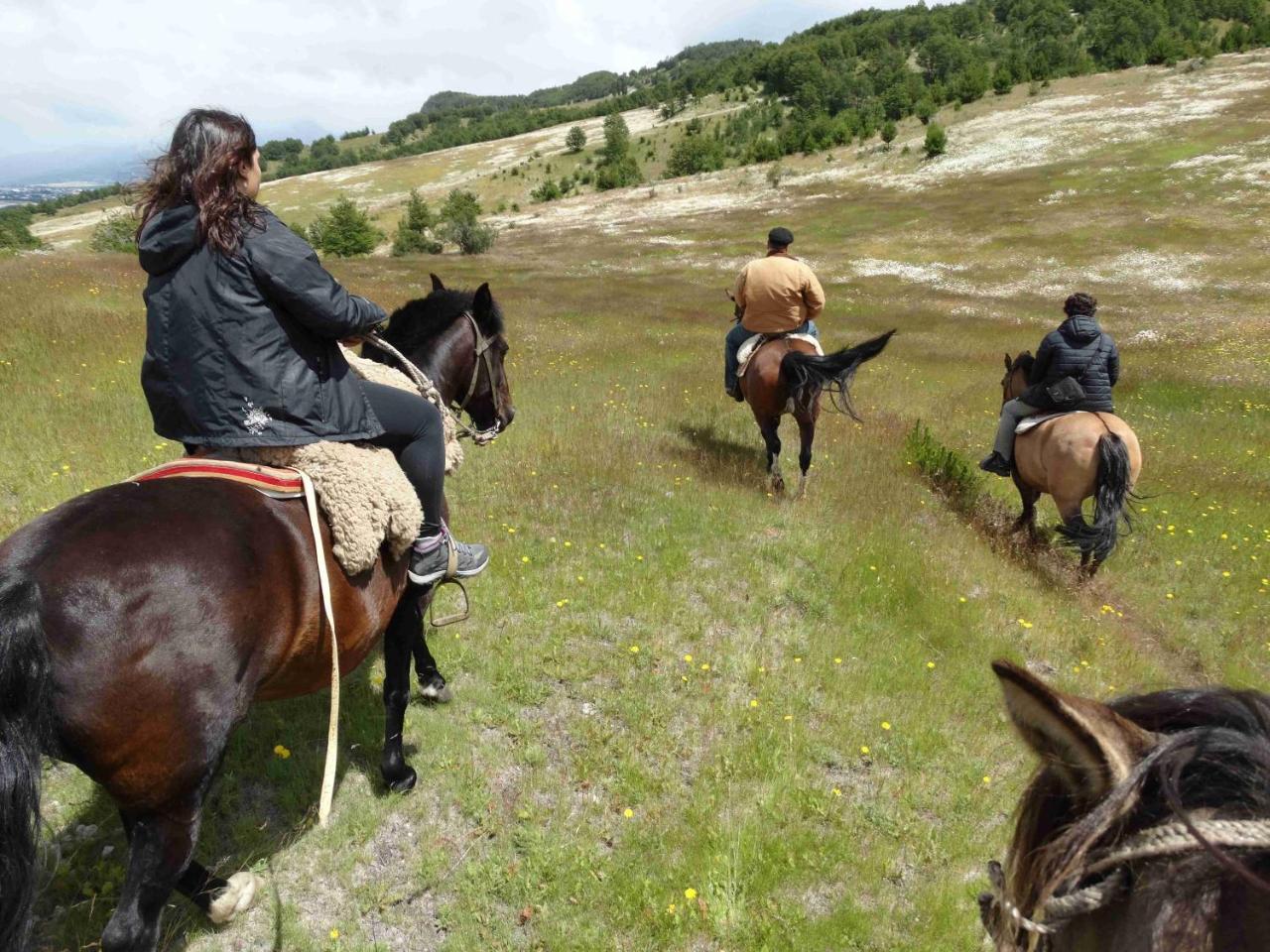 Glamping Patagonia Nativa Rural Hotel Coyhaique Exterior photo